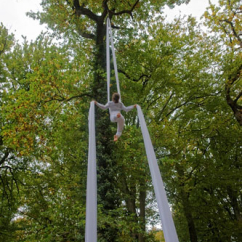 aerial_silk_tree.jpg