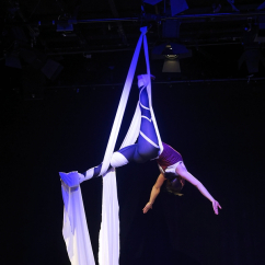 aerial_silks_tuebingen.jpg