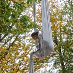 aerial_nature_silks.jpg